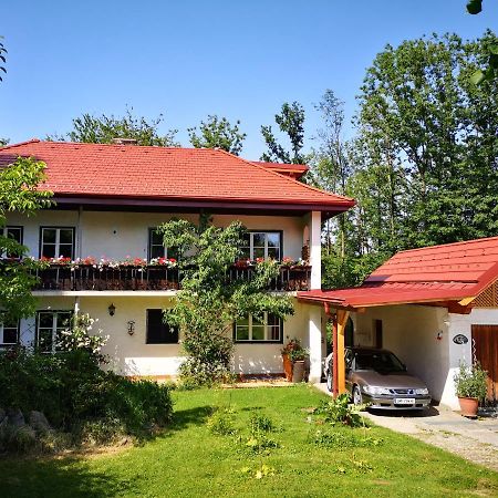 Apartment Heidelinde غموندين المظهر الخارجي الصورة